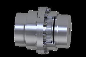 Gear Coupling